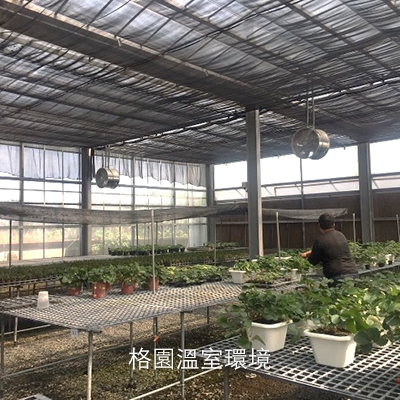 格園溫室環境.jpg